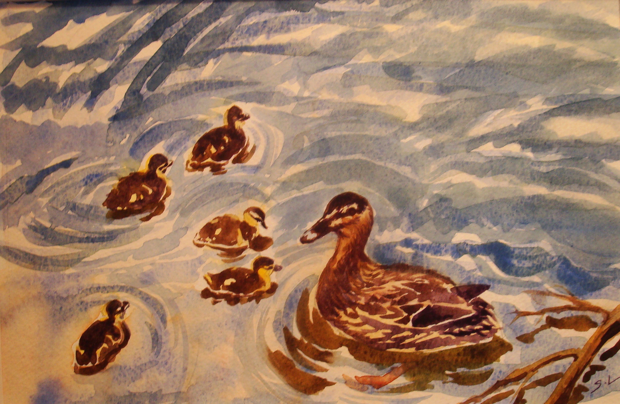 Ducklings